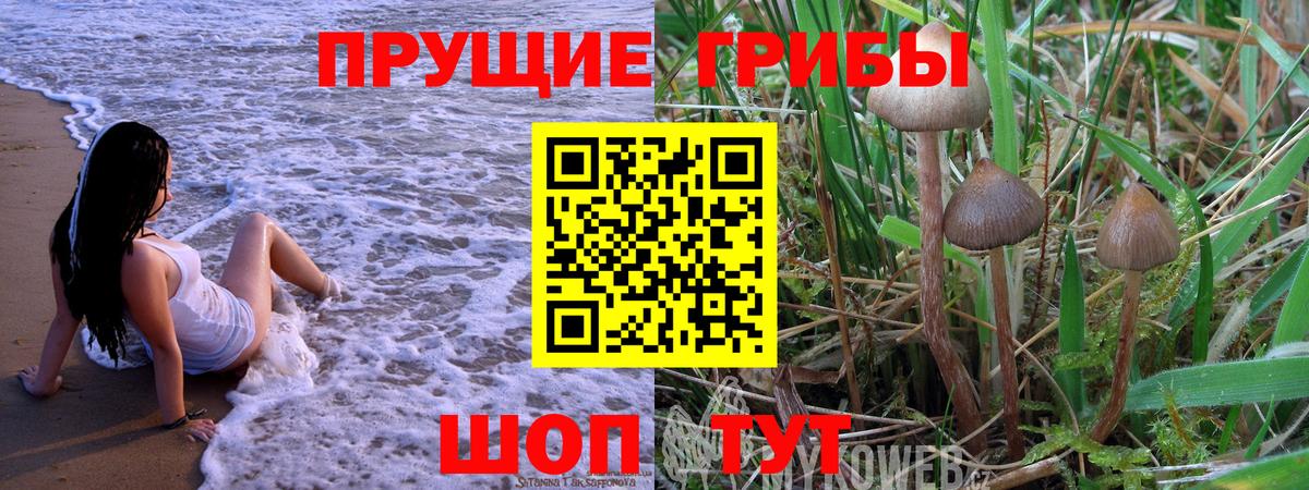 Галлюциногенные грибы мухоморы  Вход с VPN  Урюпинск 